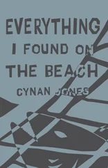 Cynan Jones - Everything I Found on the Beach