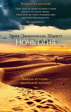 Эрик-Эмманюэль Шмитт Ночь огня обложка книги