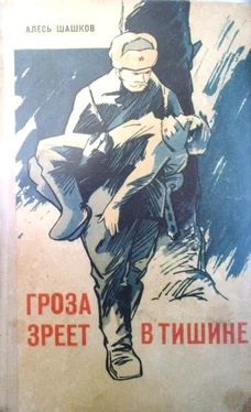 Александр Шашков Гроза зреет в тишине обложка книги