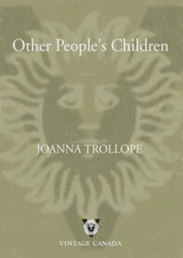 Joanna Trollope Other People's Children обложка книги