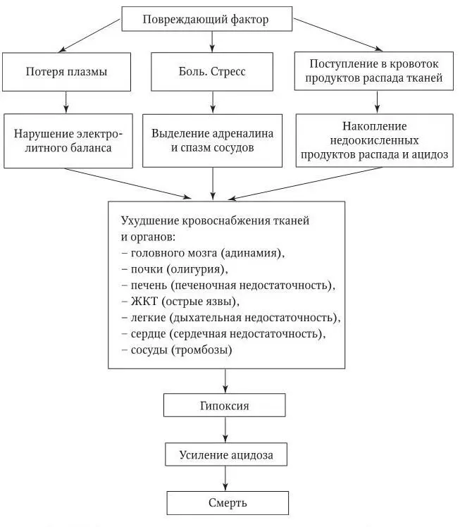 Рис 13 Схема действия на организм повреждающего фактора Доврачебная помощь 1 - фото 25