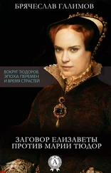 Галимов Брячеслав - Заговор Елизаветы против ее сестры Марии Тюдор