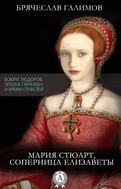 Галимов Брячеслав Мария Стюарт, соперница Елизаветы обложка книги