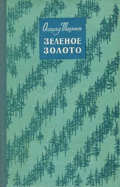 Освальд Тооминг Зеленое золото обложка книги