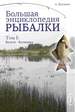 Антон Шаганов Большая энциклопедия рыбалки. Том 1 обложка книги