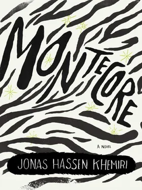 Jonas Khemiri Montecore: The Silence of the Tiger обложка книги