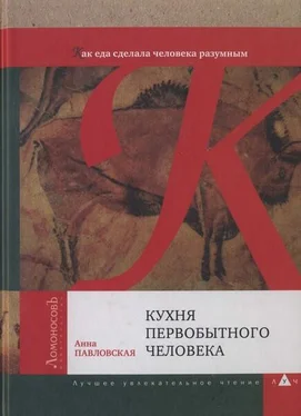 Анна Павловская Кухня первобытного человека. Как еда сделала человека разумным обложка книги