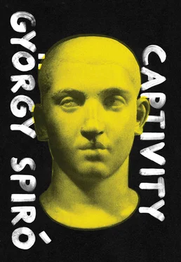 György Spiró Captivity обложка книги