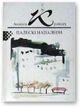 Анатоль Крэйдзіч Палескі Напалеон обложка книги