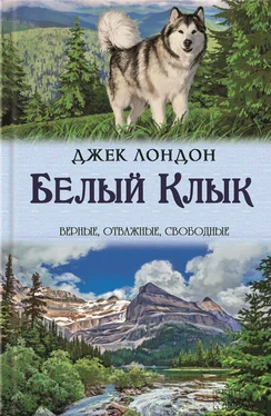 Джек Лондон Белый Клык. Зов предков обложка книги