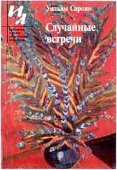 Уильям Сароян - Случайные встречи