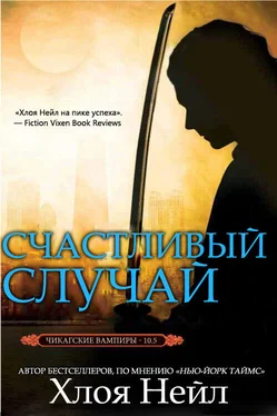 Хлоя Нейл Счастливый случай обложка книги