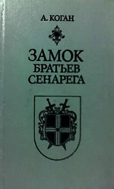 Анатолий Коган Замок братьев Сенарега обложка книги