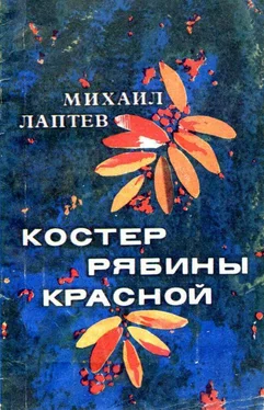 Михаил Лаптев Костер рябины красной обложка книги