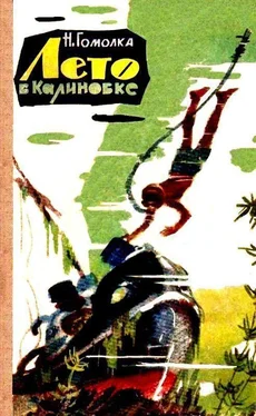 Николай Гомолка Лето в Калиновке обложка книги