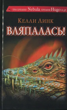 Келли Линк Вляпалась! обложка книги