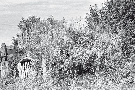 Рис 65 Еще один выход курганкладовая в русской деревне Фотография - фото 65