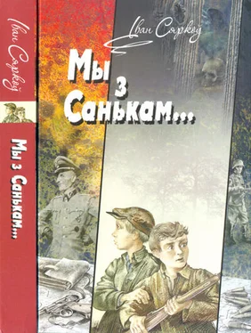 Iван Сяркоў Мы з Санькам у тыле ворага обложка книги