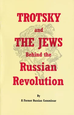 Former Commissar Trotsky and the Jews behind the Russian Revolution обложка книги