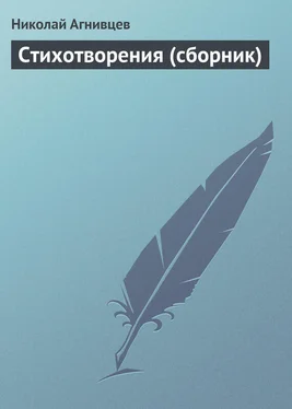 Николай Агнивцев Стихотворения (сборник) обложка книги