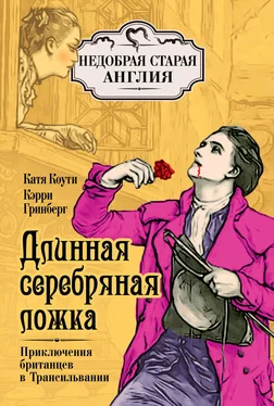 Кэрри Гринберг Длинная серебряная ложка. Приключения британцев в Трансильвании обложка книги