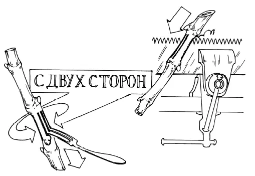 Рис 7 Затем черенки бороздуются их нижние концы с двух или трех сторон - фото 8