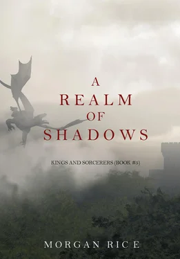 Morgan Rice A Realm of Shadows обложка книги