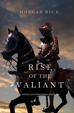 Morgan Rice Rise of the Valiant обложка книги