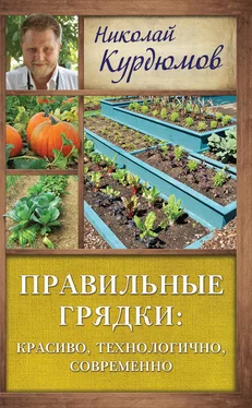 Николай Курдюмов Правильные грядки: красиво, технологично, современно обложка книги