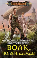 Александр Авраменко - Волк. Поля надежды