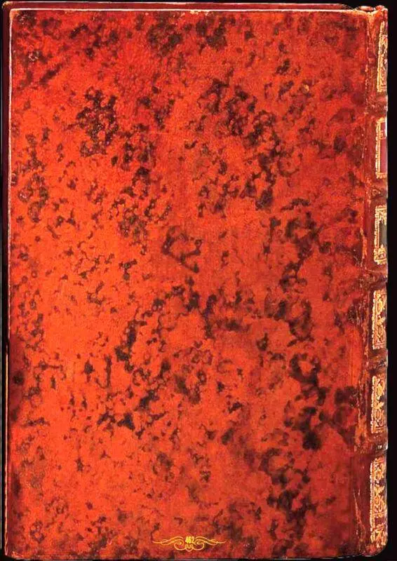 Я сын батрака Книга 1 - фото 22