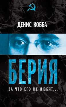 Дения Кобба Берия. За что его не любят… обложка книги