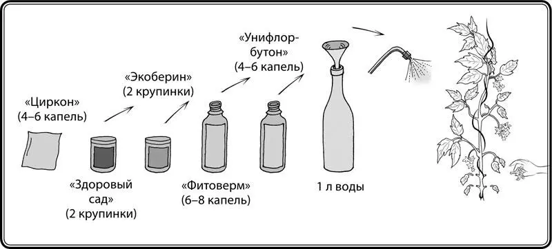 Рис 11 Защитное опрыскивание Иногда садоводы бывают сами виноваты в создании - фото 12