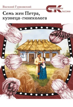 Василий Гурковский Семь жен Петра, кузнеца-гинеколога обложка книги