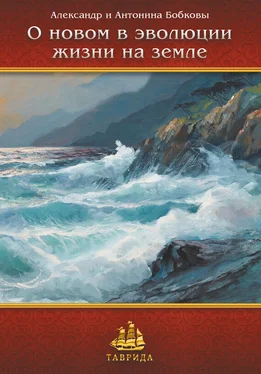 Александр и Антонина Бобковы О новом в эволюции жизни на Земле обложка книги