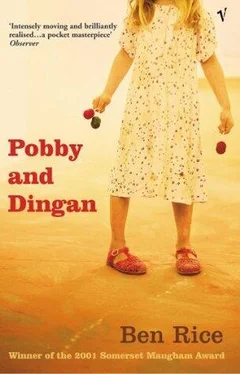 Ben Rice Pobby and Dingan обложка книги