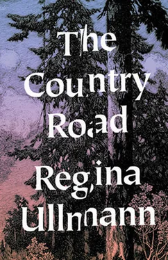 Regina Ullman The Country Road обложка книги