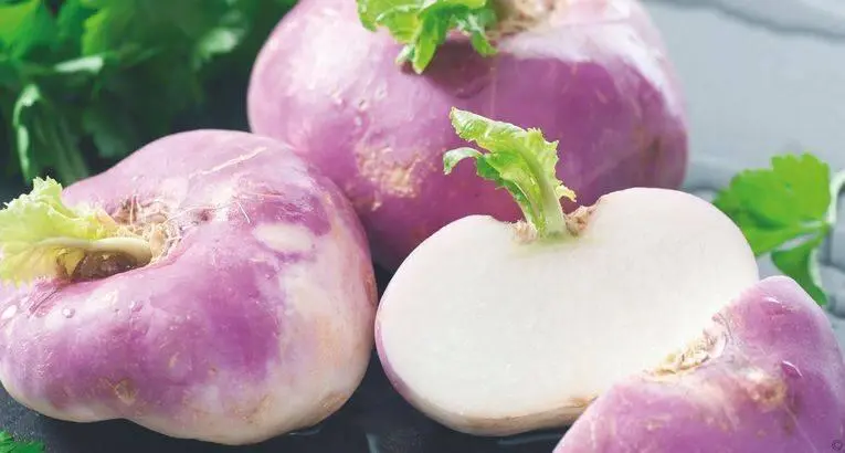 Раньше на Руси репа была важнейшим продуктом питания но сейчас встречается - фото 99
