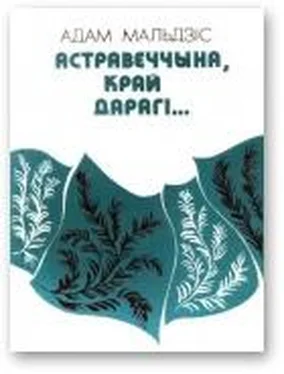 Адам Мальдзіс Астравеччына, край дарагі… обложка книги