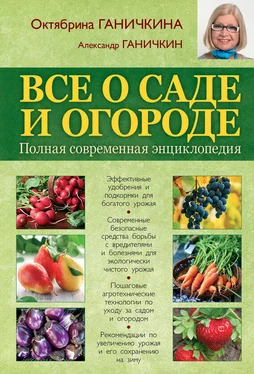 Октябрина Ганичкина Все о саде и огороде. Полная современная энциклопедия обложка книги