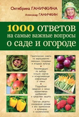 Октябрина Ганичкина 1000 ответов на самые важные вопросы о саде и огороде обложка книги