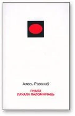 Алесь Разанаў Пчала пачала паломнічаць обложка книги