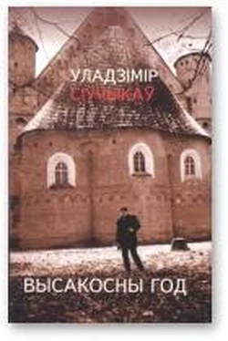 Уладзімір Сіўчыкаў Высакосны год [Хоку і танка] обложка книги