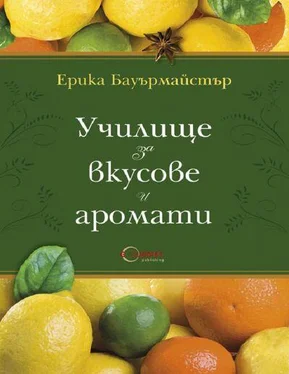 Ерика Бауърмайстър Училище за вкусове и аромати обложка книги