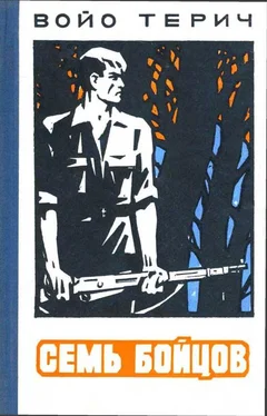 Войо Терич Семь бойцов обложка книги
