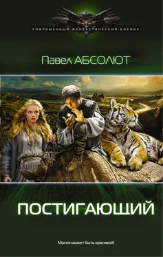 Павел Абсолют Постигающий обложка книги