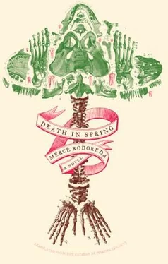 Merce Rodoreda Death in Spring обложка книги