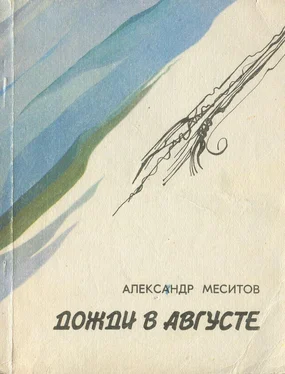 Александр Меситов Дожди в августе обложка книги