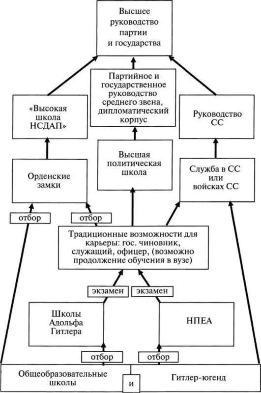 Схема 7 Система партийных школ и варианты карьеры молодого немца в Третьем - фото 8