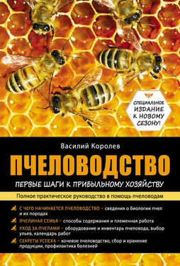 Василий Королев Пчеловодство: первые шаги к прибыльному хозяйству обложка книги